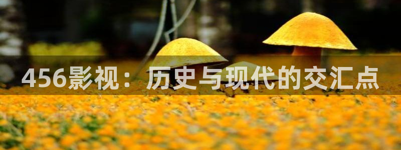 左手影院yy4480：456影视：历史与现代的交汇点