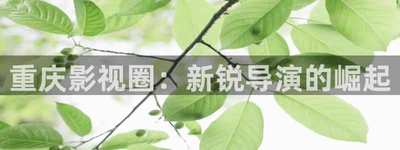 影院yy4480：重庆影视圈：新锐导演的崛起