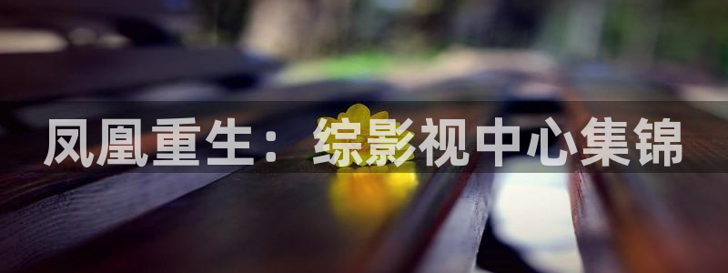 yy4480私人影院：凤凰重生：综影视中心集锦