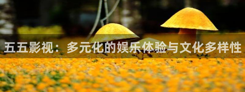 yy4480私人影院：五五影视：多元化的娱乐体验与文化多样性