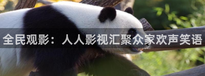 yyy4480：全民观影：人人影视汇聚众家欢声笑语